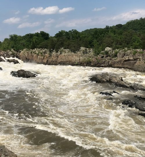 Great Falls VA